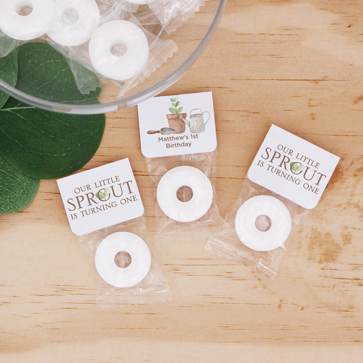 Little Sprout Birthday, Our Little Sprout is Turning One, Life Saver Mints