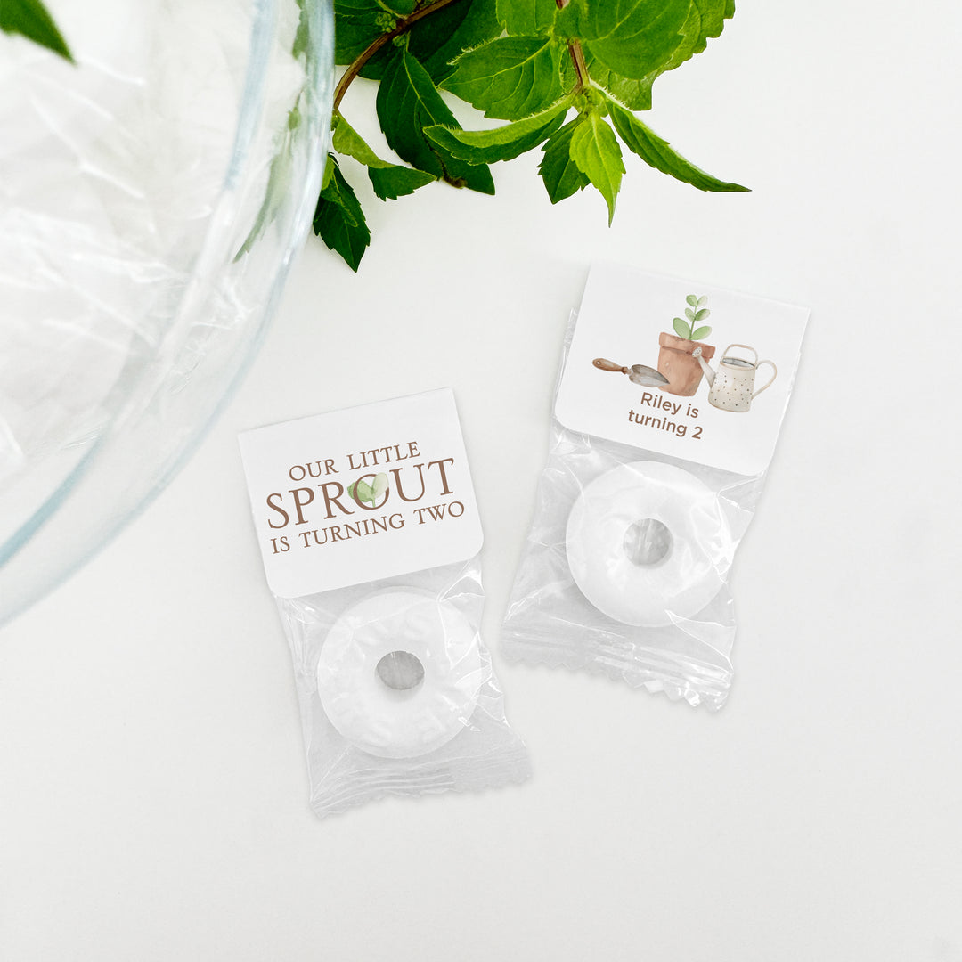 Little Sprout Birthday, Our Little Sprout is Turning One, Life Saver Mints