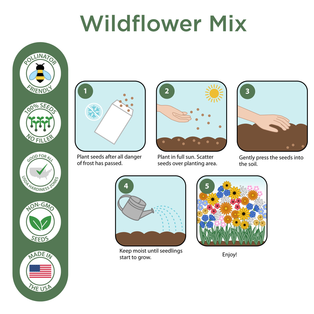 Custom Wildflower Seed Packets, Back to School Teacher Student Gift, Let&
