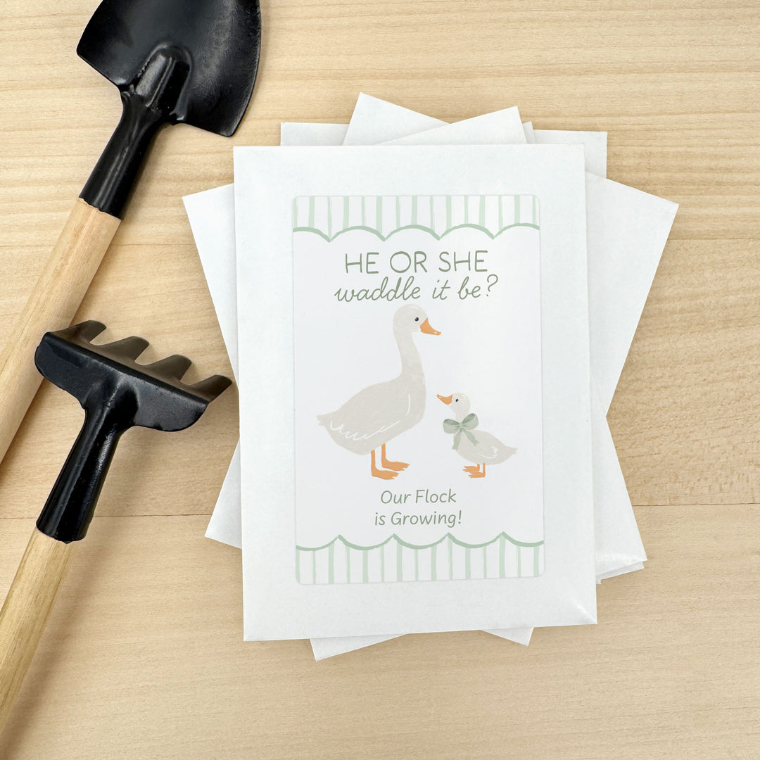 Silly Goose, Baby Shower Favor, Wildflower Seed Packets
